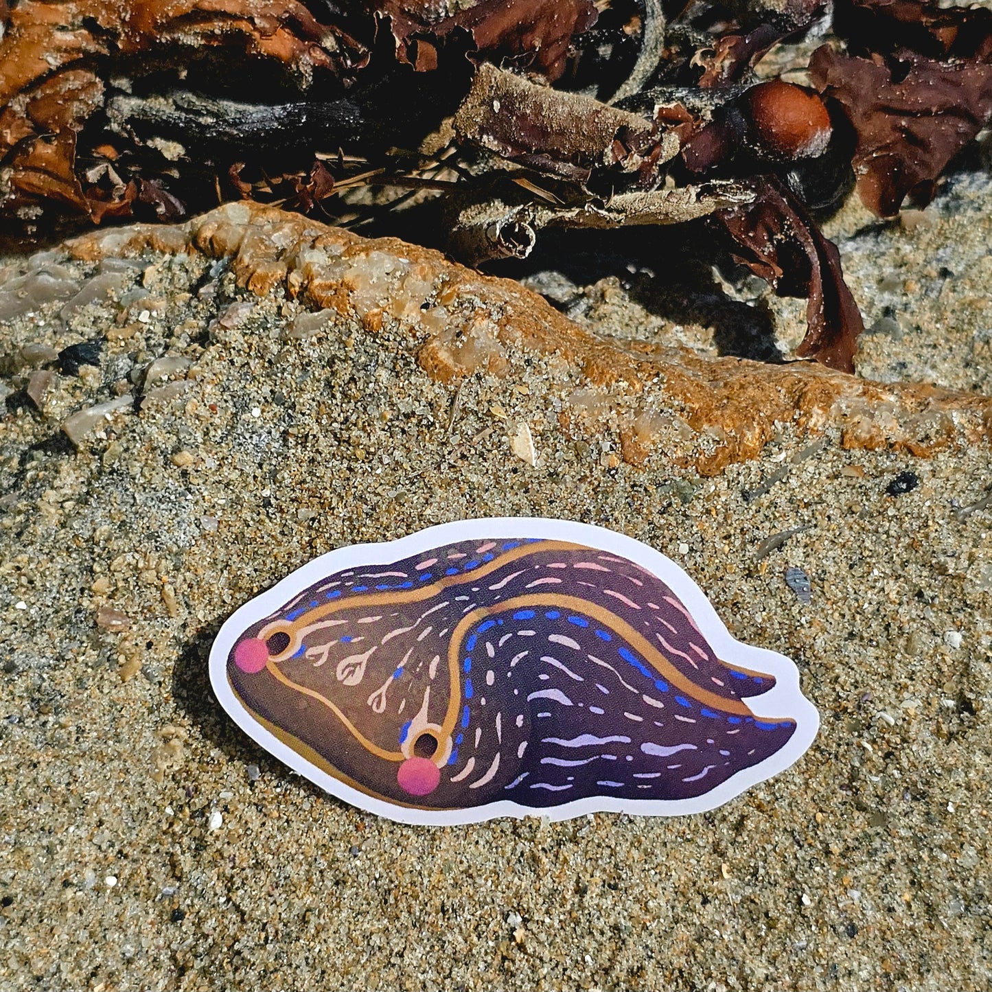 Nudibranch Sea Slug Stickers | California Aglaja (Navanax Inermis)
