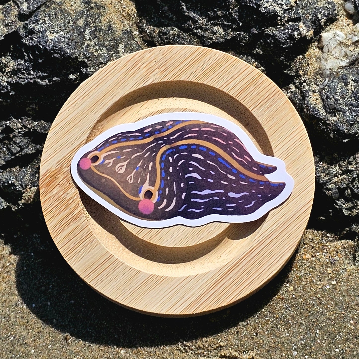 Nudibranch Sea Slug Stickers | California Aglaja (Navanax Inermis)