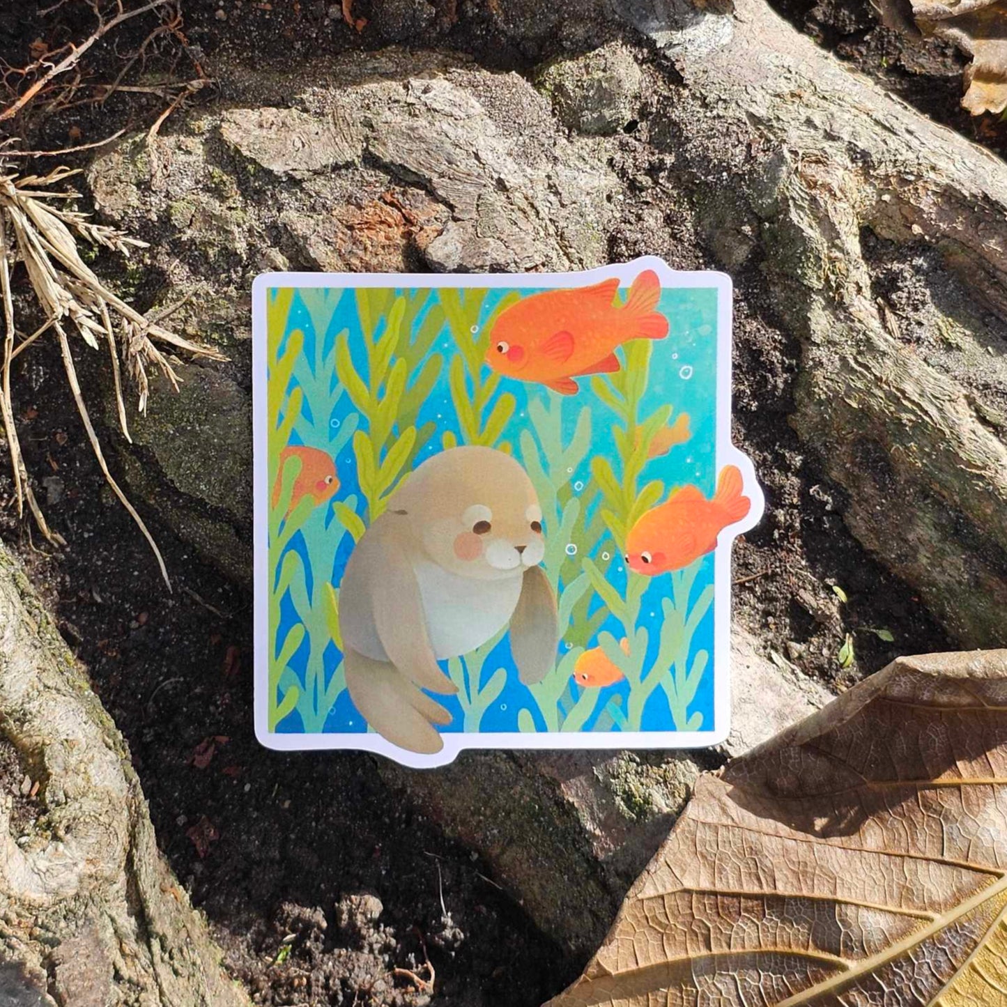 Sea Lion, Kelp Forest, Garibaldi Matte Vinyl Sticker