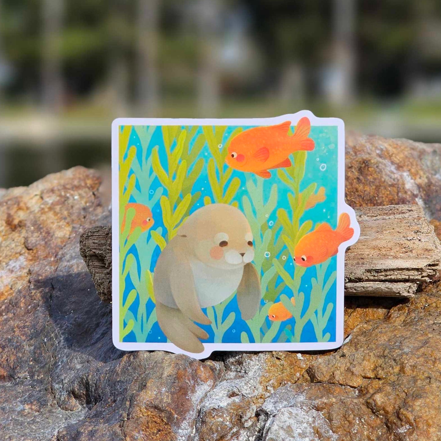 Sea Lion, Kelp Forest, Garibaldi Matte Vinyl Sticker