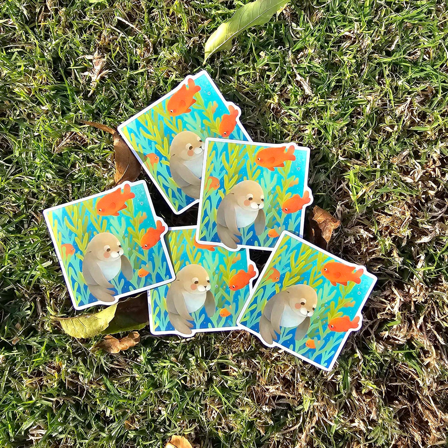 Sea Lion, Kelp Forest, Garibaldi Matte Vinyl Sticker