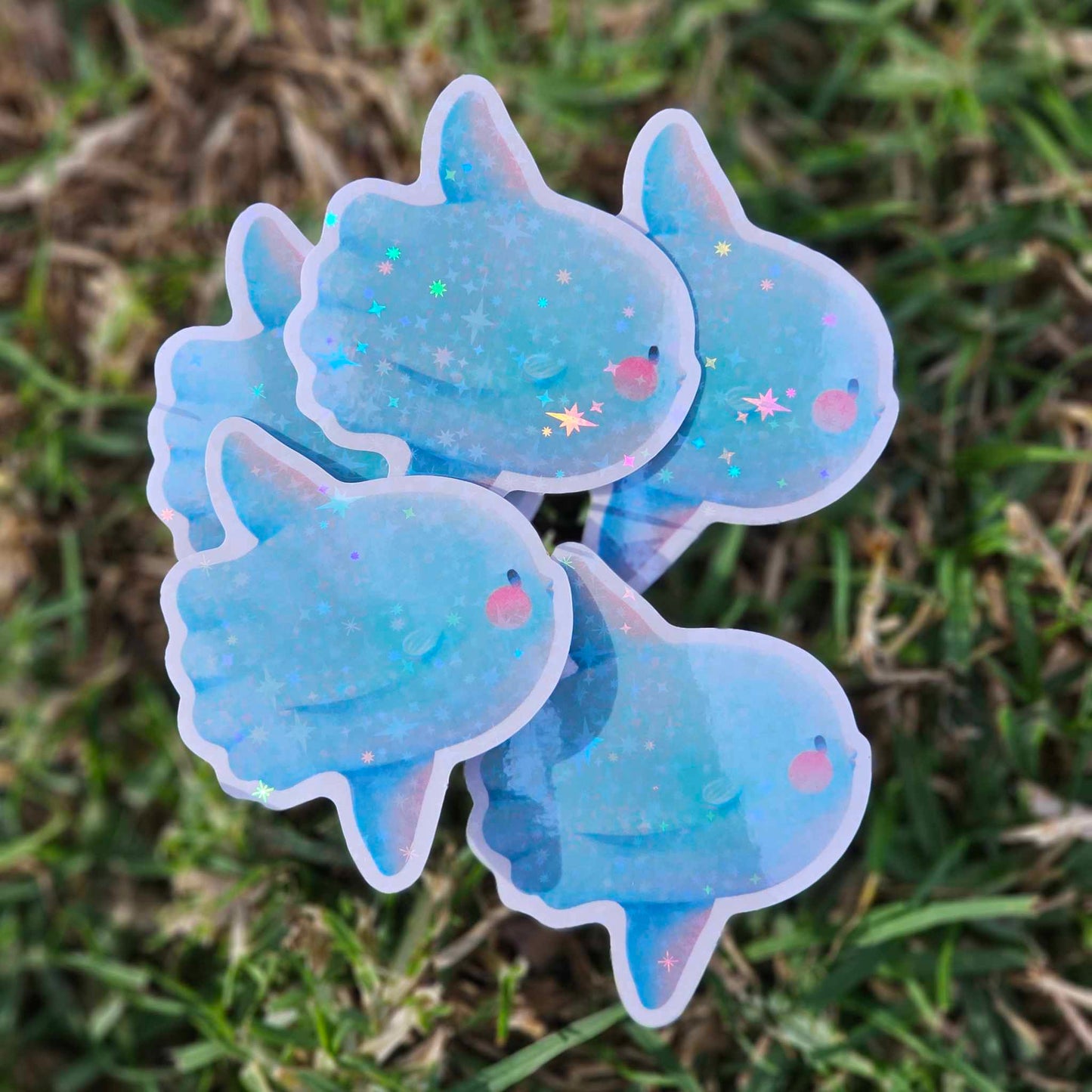 Ocean Sunfish (Mola Mola) Vinyl Holographic Sticker