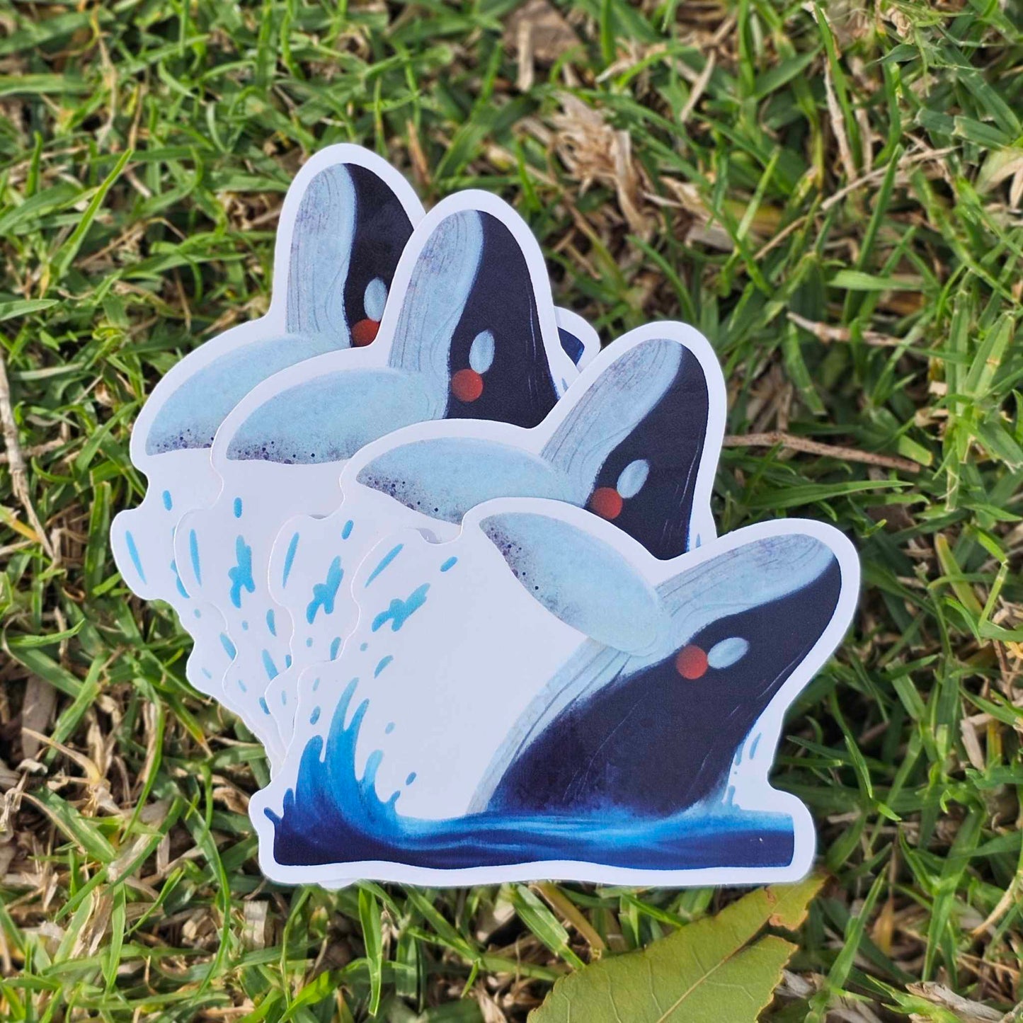 Blue Whale Clear Sticker