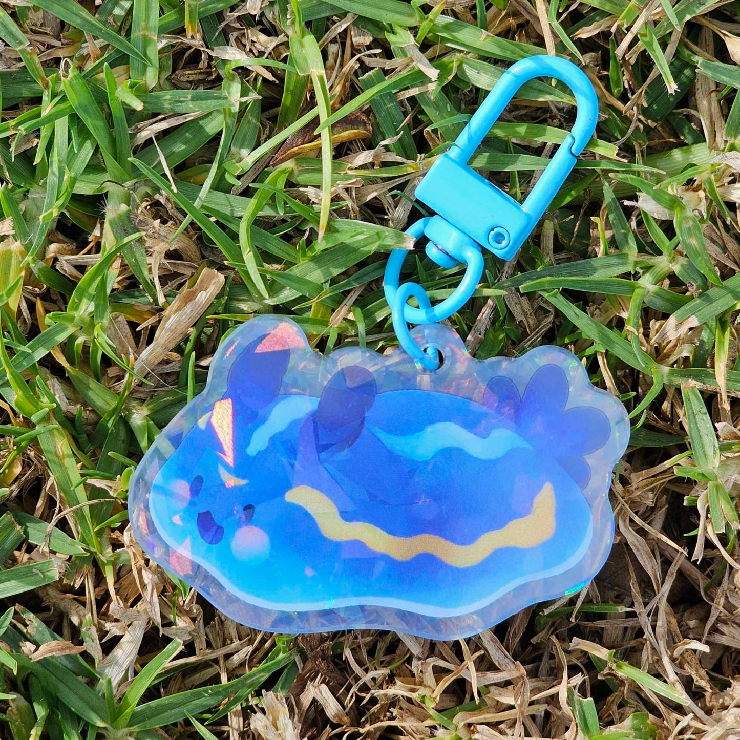 Nudibranch Sea Slug Keychain | Porter's Chromodorid (Felimare Porterae)
