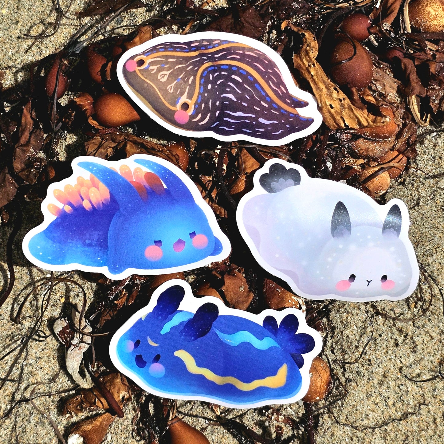 Nudibranch Sea Slug Stickers | Spanish Shawl (Flabellinopsis Iodinea)