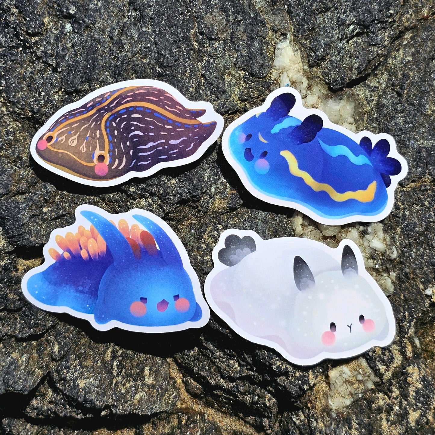 Nudibranch Sea Slug Stickers | Spanish Shawl (Flabellinopsis Iodinea)