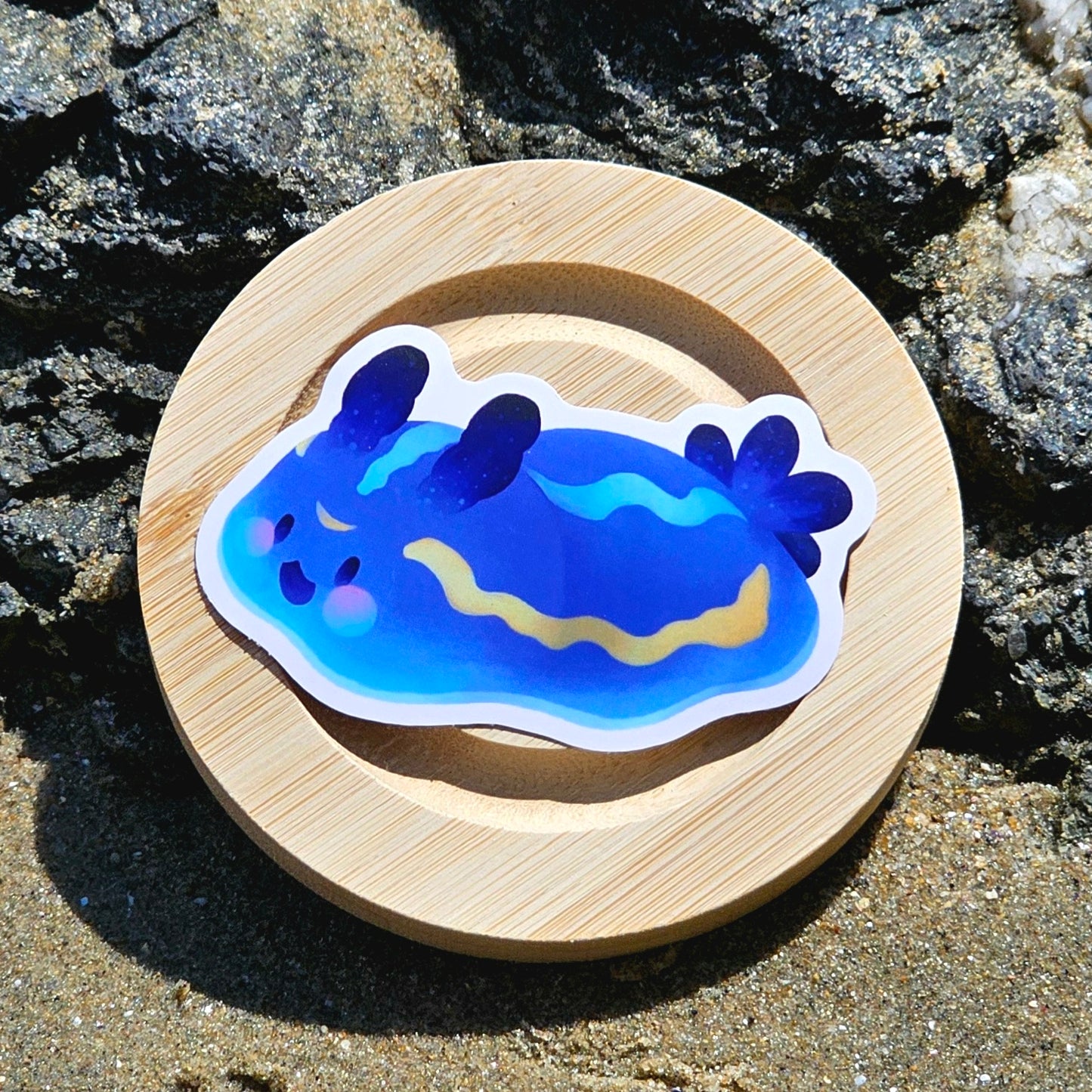 Nudibranch Sea Slug Stickers | Porter's Chromodorid (Felimare Porterae)