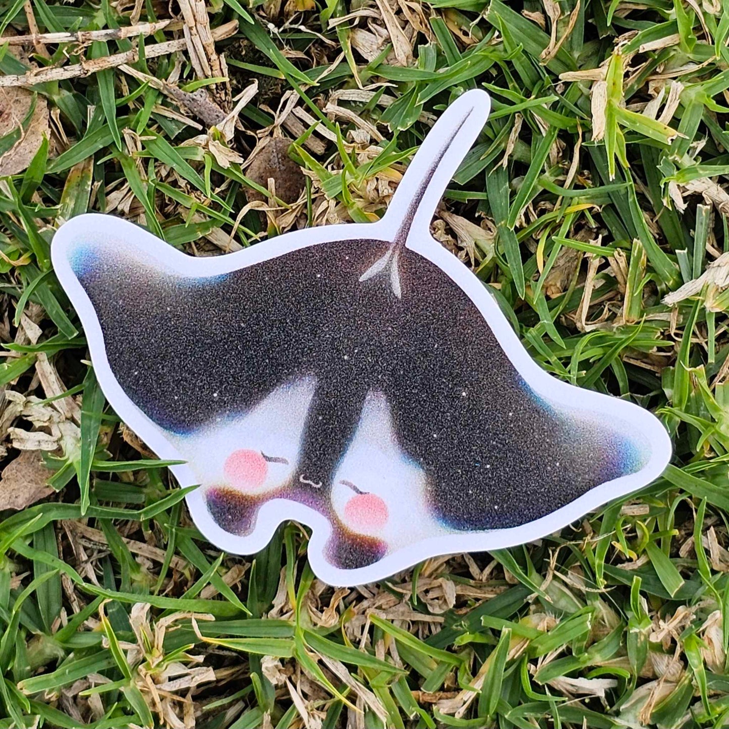 Manta Ray Sand Glitter Frosted Sticker