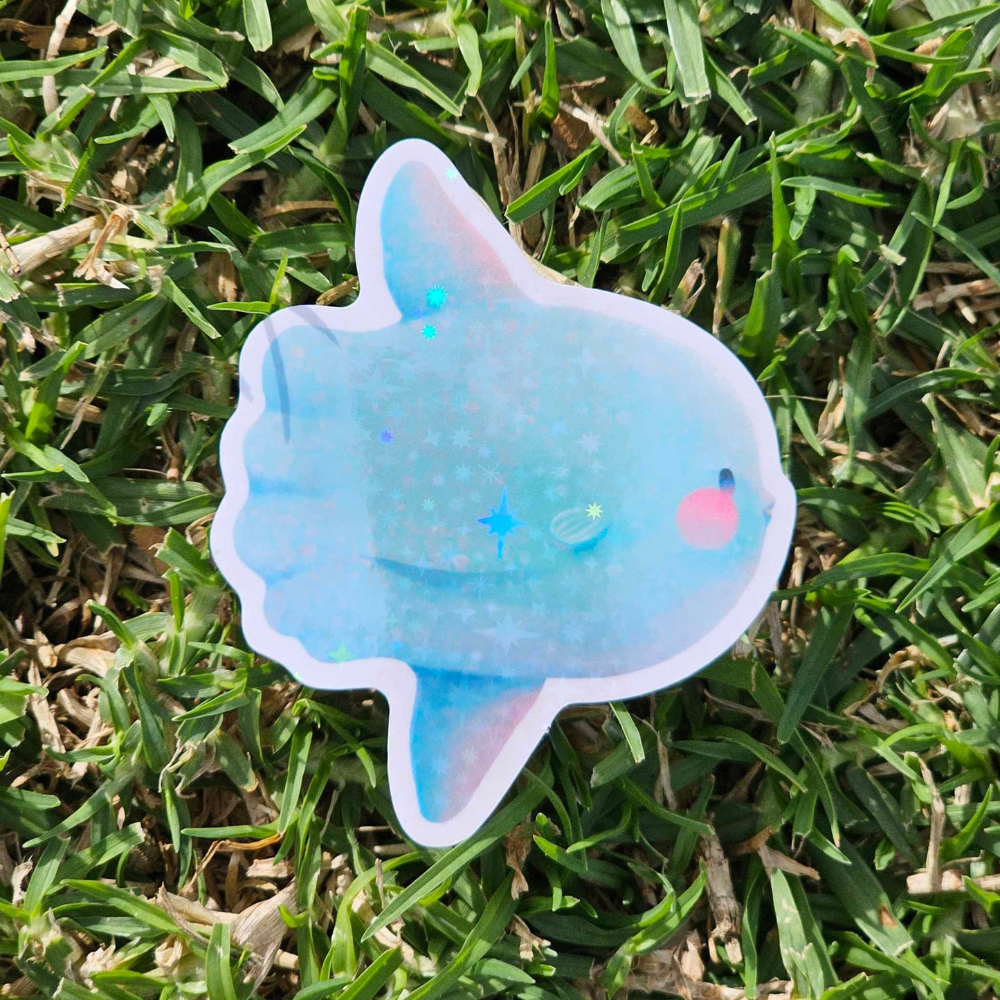 Ocean Sunfish (Mola Mola) Vinyl Holographic Sticker