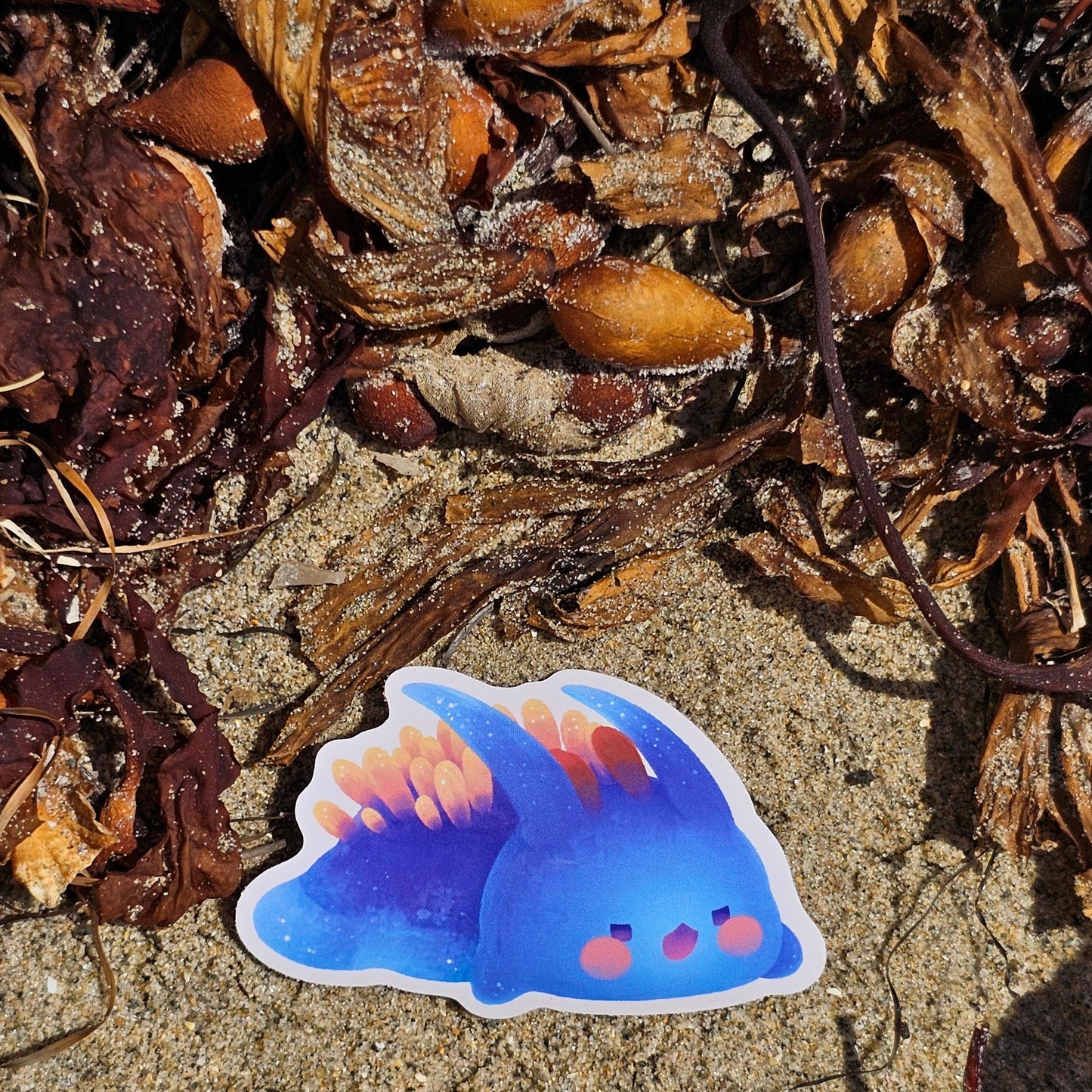 Nudibranch Sea Slug Stickers | Spanish Shawl (Flabellinopsis Iodinea)