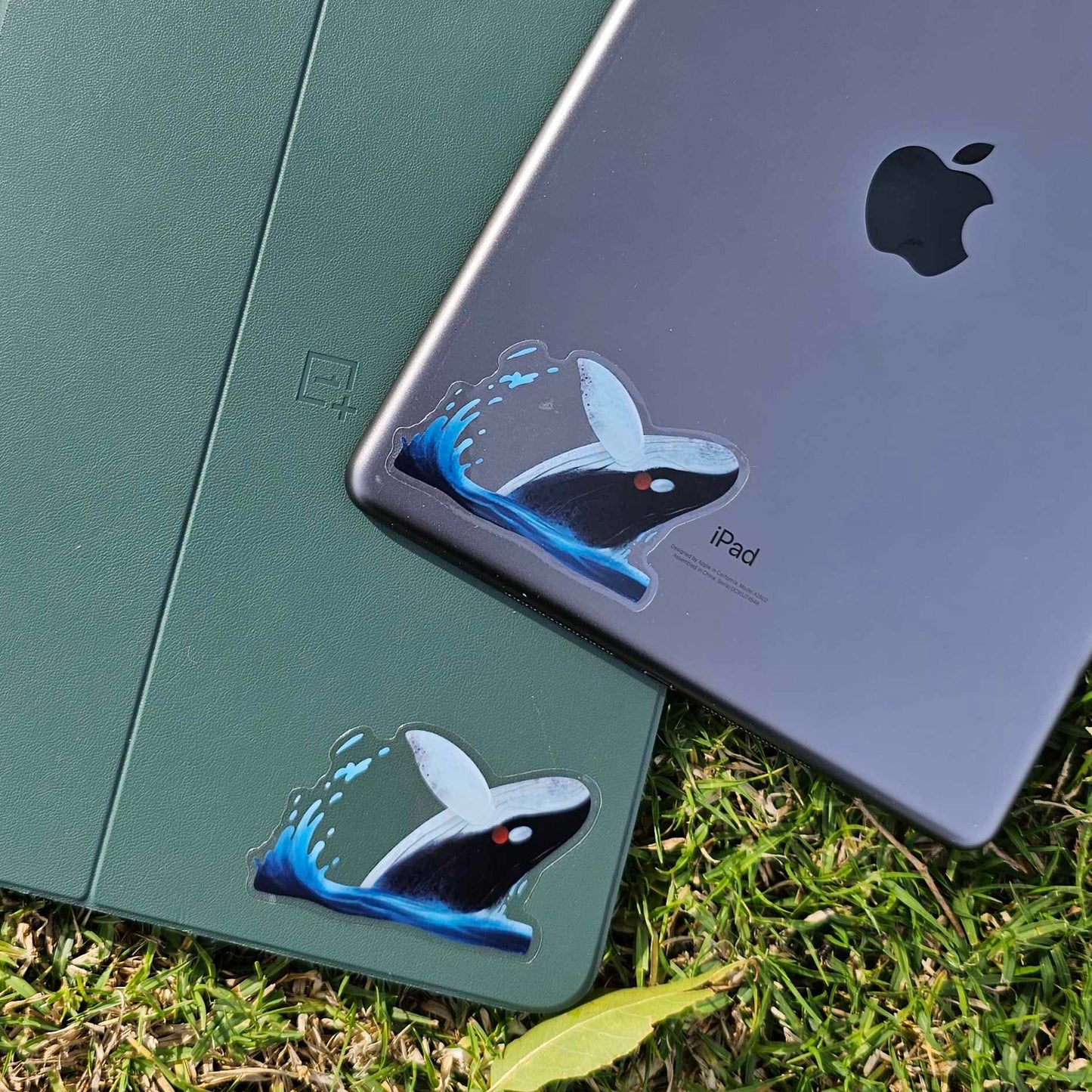Blue Whale Clear Sticker