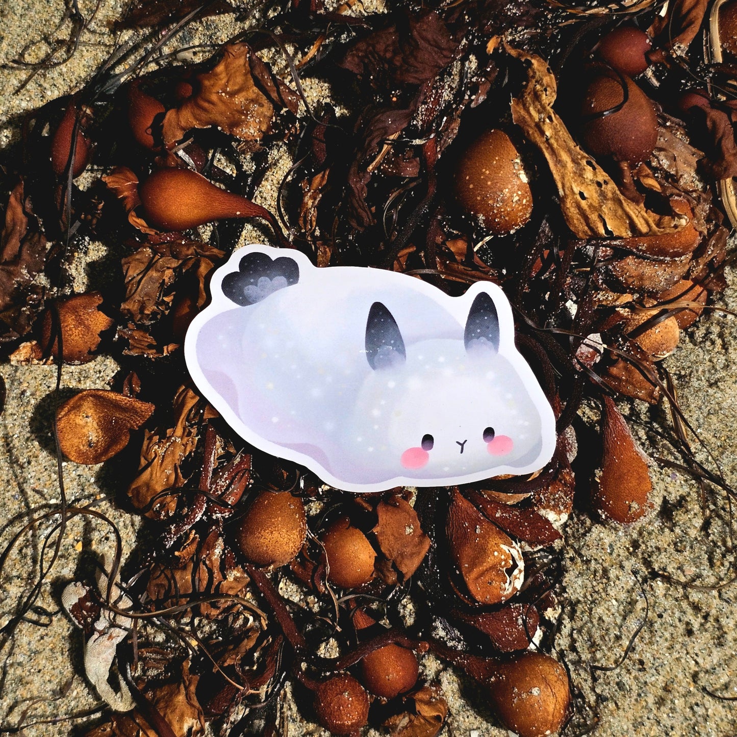 Nudibranch Sea Slug Stickers | Limbaugh's Cadlina (Cadlina limbaughorum)